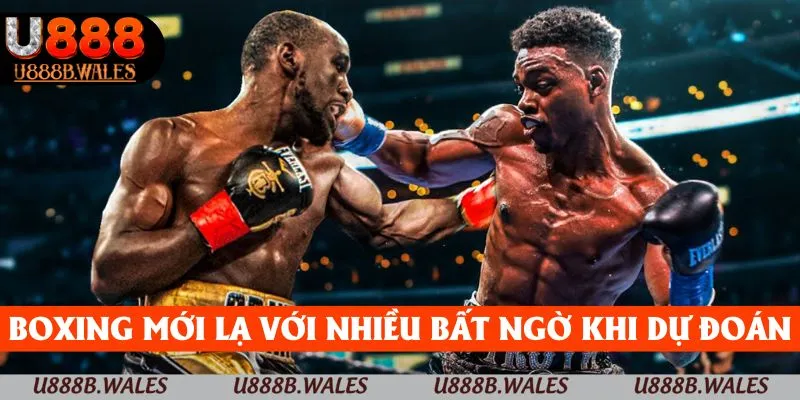 Thể Thao U888 - Mở Rộng Cánh Cửa Với Các Kèo Cược Hấp Dẫn 4 Boxing mới lạ với nhiều bất ngờ khi dự đoán