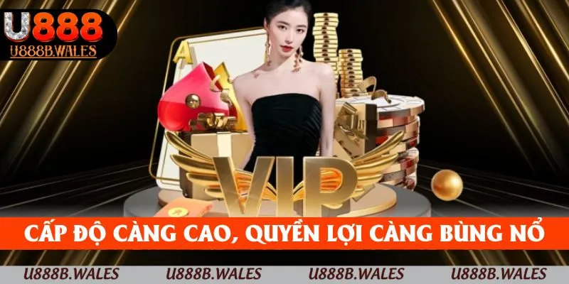 Cấp độ càng cao, quyền lợi càng bùng nổ