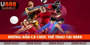 hướng dẫn cá cược thể thao