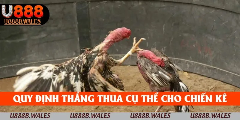 Luật Chơi Đá Gà – Kiến Thức Cơ Bản Để Chiến Thắng Tại U888 3 Quy định thắng thua cụ thể cho chiến kê