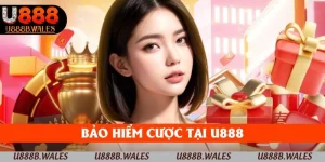 bảo hiểm cược